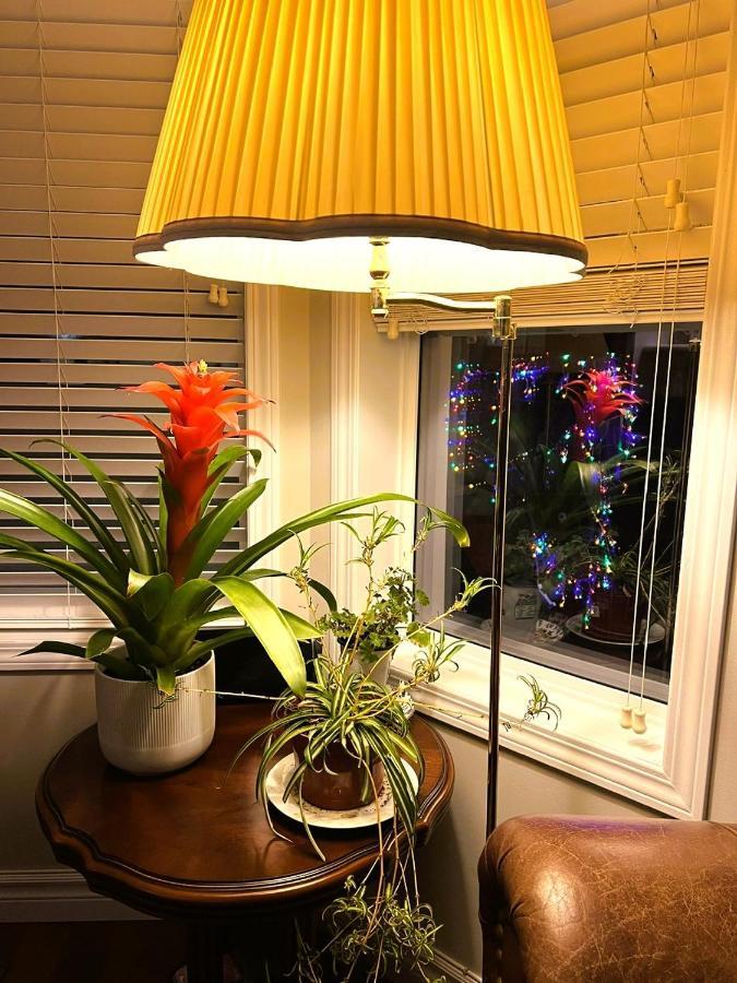 Lovely Comfy Home Private Bath In Central YYC Dış mekan fotoğraf